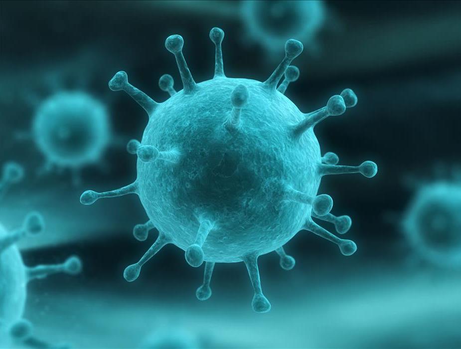 microscopic image of common virus