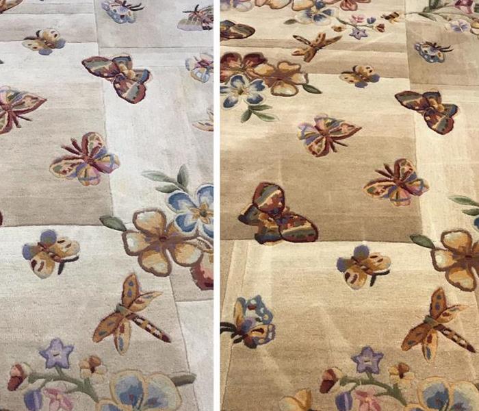 before and after of carpet with stains, left side with the stains and discoloration removed 