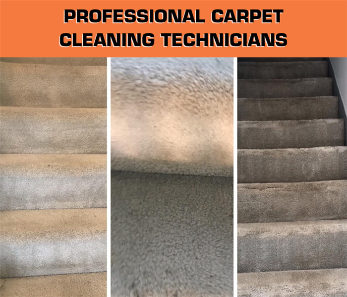 graphic with text saying "professional carpet cleaning technicians" and a photo of carpets with before and after 