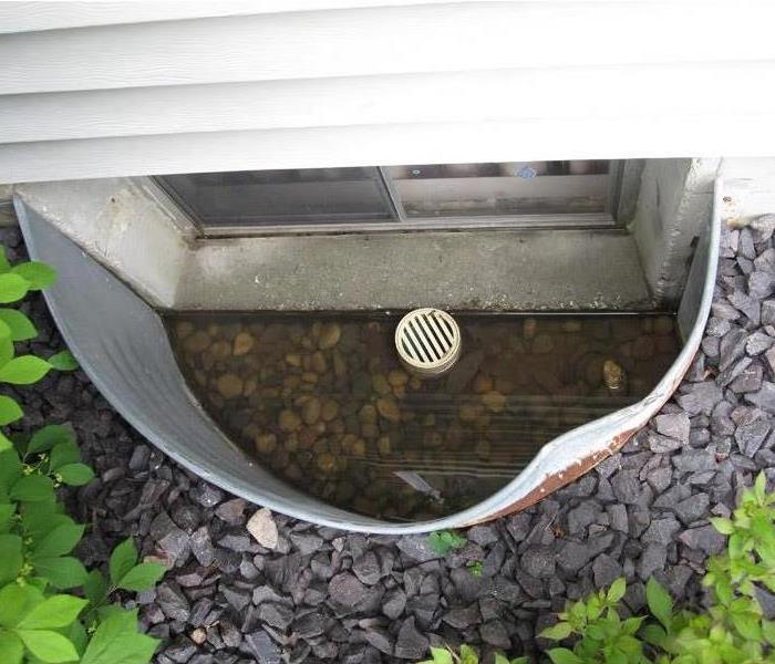 image of window well containing sitting water that can cause water damage to a basement