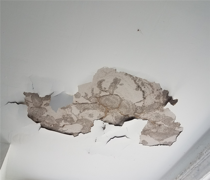 Picture shows a large portion of an indoor celing that has been affected by water damage. 