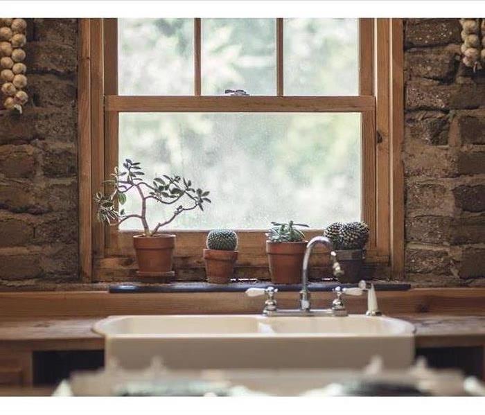 Picture of a kitchen with a farmhouse sink. Plants sitting on a windowsill in front of it. 